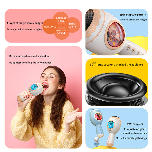 Wireless Karaoke Microphone Speaker - DS109