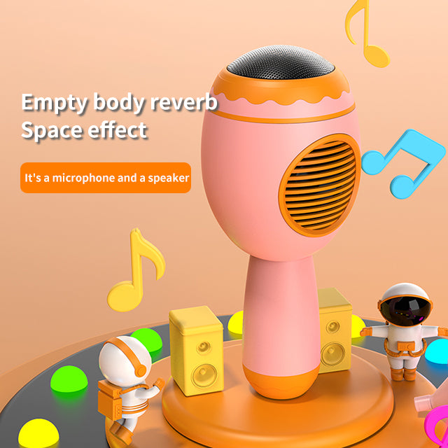 Wireless Karaoke Microphone Speaker - DS109