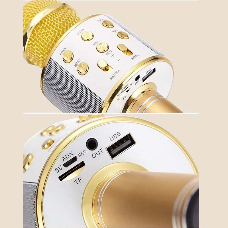 Wireless Karaoke Microphone Speaker WS-858