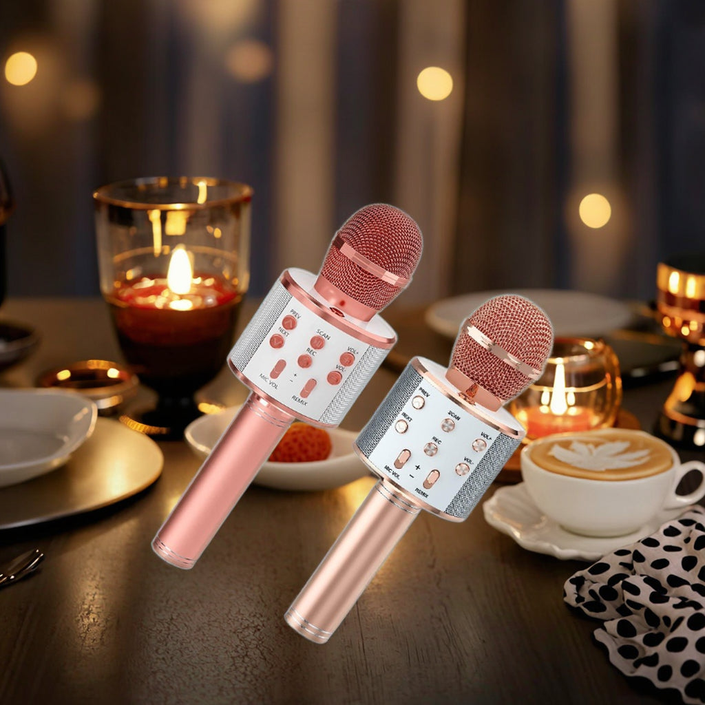 Wireless Karaoke Microphone Speaker WS-858