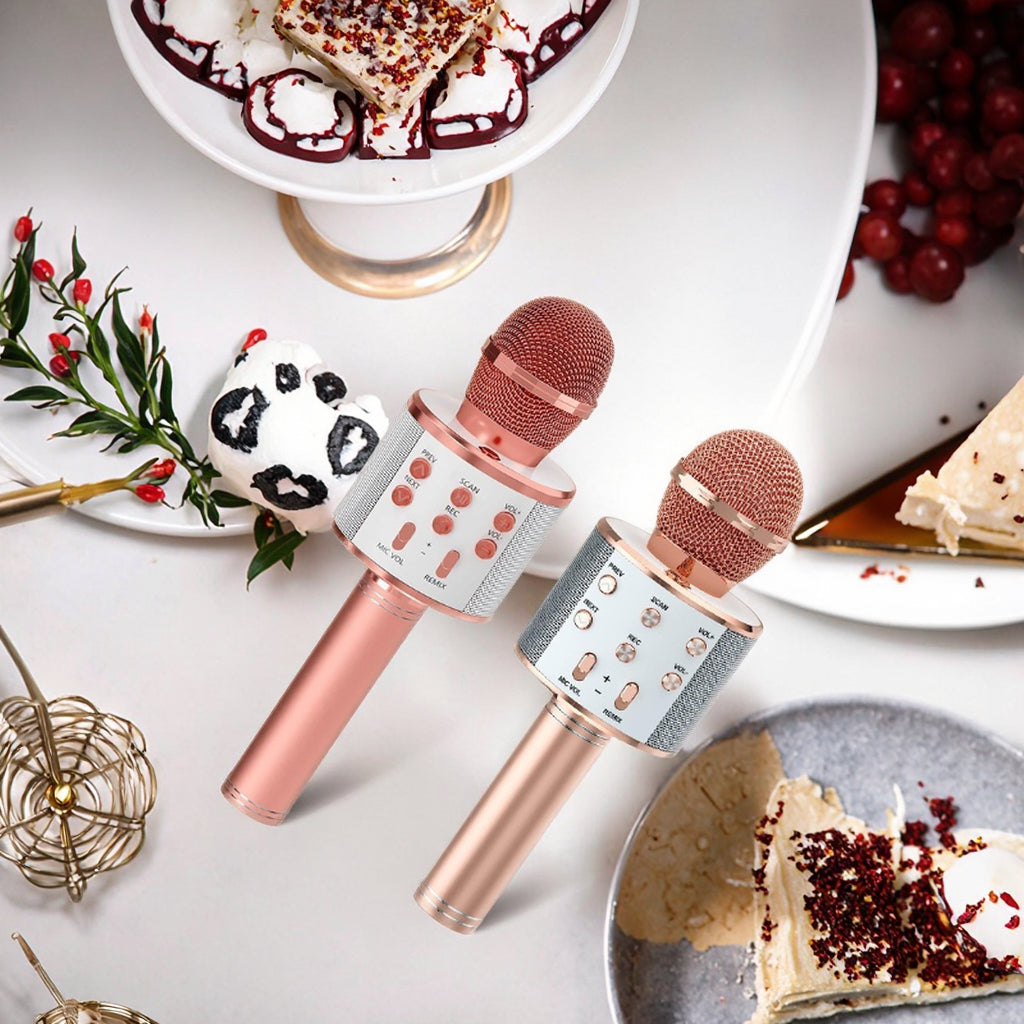 Wireless Karaoke Microphone Speaker WS-858