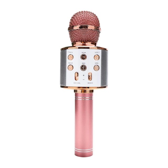 Wireless Karaoke Microphone Speaker WS-858