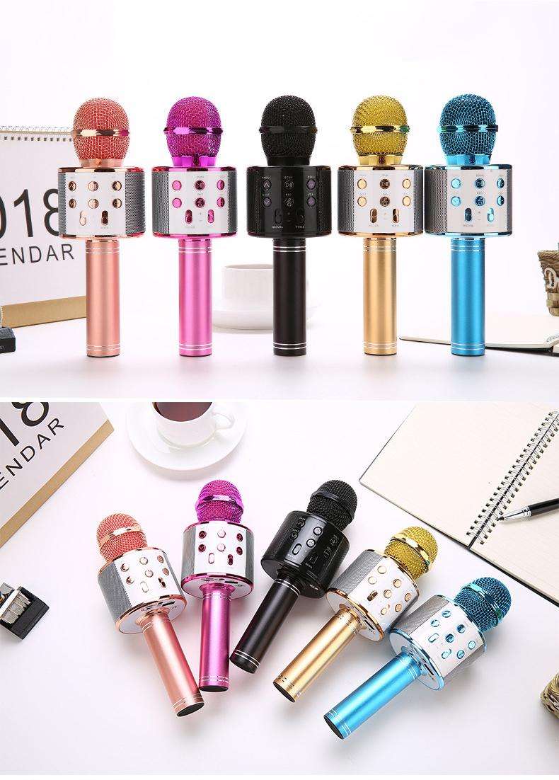 Wireless Karaoke Microphone Speaker WS-858