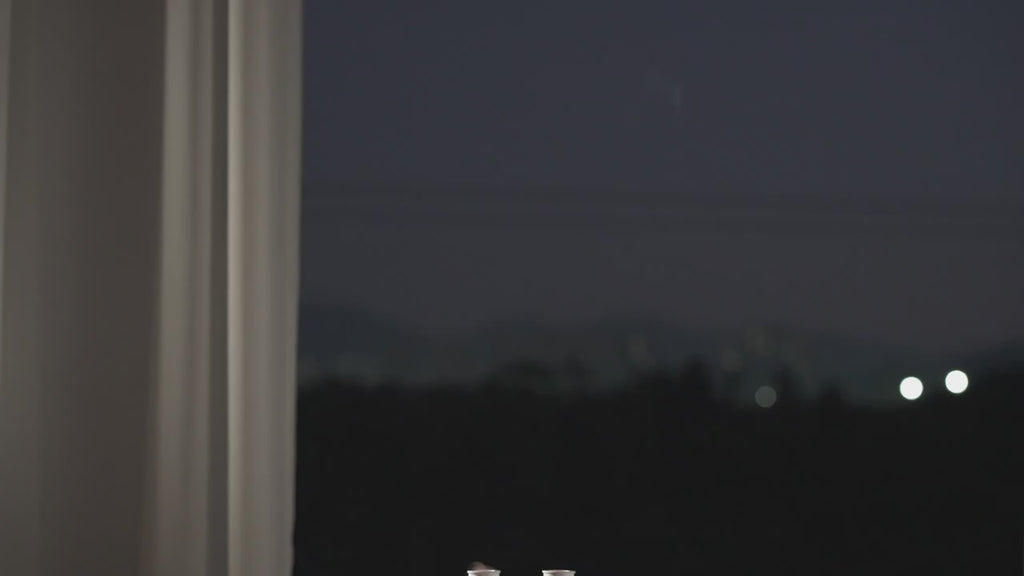 Jellyfish Aroma Diffuser - 299